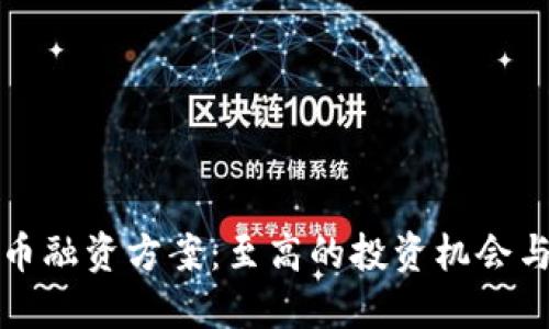 區(qū)塊鏈發(fā)幣融資方案：至高的投資機(jī)會與風(fēng)險控制